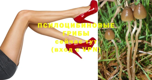 mdpv Арсеньев