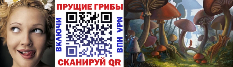 закладки  Беслан  Галлюциногенные грибы мухоморы 