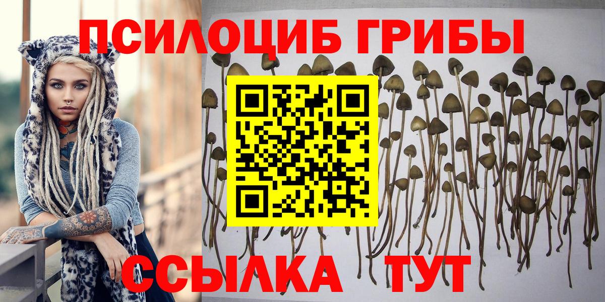 Галлюциногенные грибы ЛСД  даркнет сайт  Псилоцибиновые грибы ЛСД  Беслан 